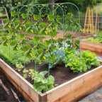 Cucumber Trellis, 47" X 50" Arch Garden Trellis for Climbing Plants Outdoor, Foldable Trellis Cucumber for Raised Bed Vegetable/Tomato/Flowers/Pea