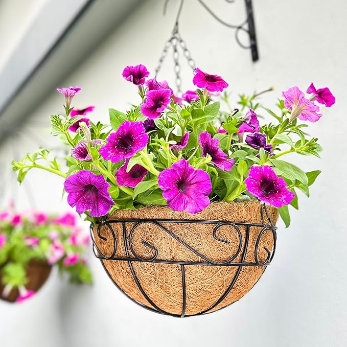 LaLaGreen Hanging Planter for Outdoor Plants (20 Inch, 2 Pack) Hanging Baskets with Coco Liner, Black Metal Wire Flower Basket Pots with Hook Hanger Balcony Porch Farmhouse Country Style Garden Decor
