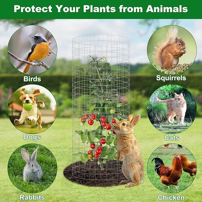 Plant Protector Cages 12 Pack, Galvanized Steel, 12 x 24 in with Stakes