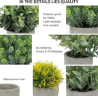 Fake Plants, 5 Pack Artificial Eucalyptus & Greenery in Cement Pots - Small Potted Faux Plants for Indoor Outdoor Shelves, Desk, Table, Farmhouse Bathroom, Office & Modern Home Decor