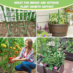 Legigo 6-Pack Tomato Cage for Garden Plant Support- Up to 48inch Garden Stakes Tomato Cage, Tomato Trellis for Potted Plants, Tomato Cages Plant Stakes for Climbing Vegetables Plants Flowers