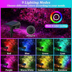 Sucolite 6-Pack Solar Spot Lights Outdoor Waterproof IP65, 3 Lighting Modes 2-in-1 Solar Landscape Spotlights for Yard, 59 LED Solar Powered Wall Lights for Garden Pathway Driveway Walkway, Multicolor