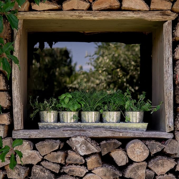 Galvanized Steel Herb Planter Set of 5 with Catch Tray