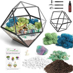 Terrarium Kit, 7-Inch Dodecahedron Glass Container with Moss and Crystals