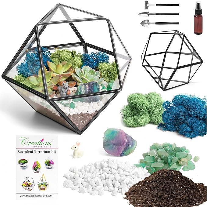 Terrarium Kit, 7-Inch Dodecahedron Glass Container with Moss and Crystals