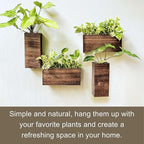 LaLaGreen Wood Planter Box for Plants (4 Pack) Wooden Hanging Wall Planters for Indoor Plant Holder Vase for Dried Flowers, Modern Living Room Bedroom Kitchen Home Office Decor