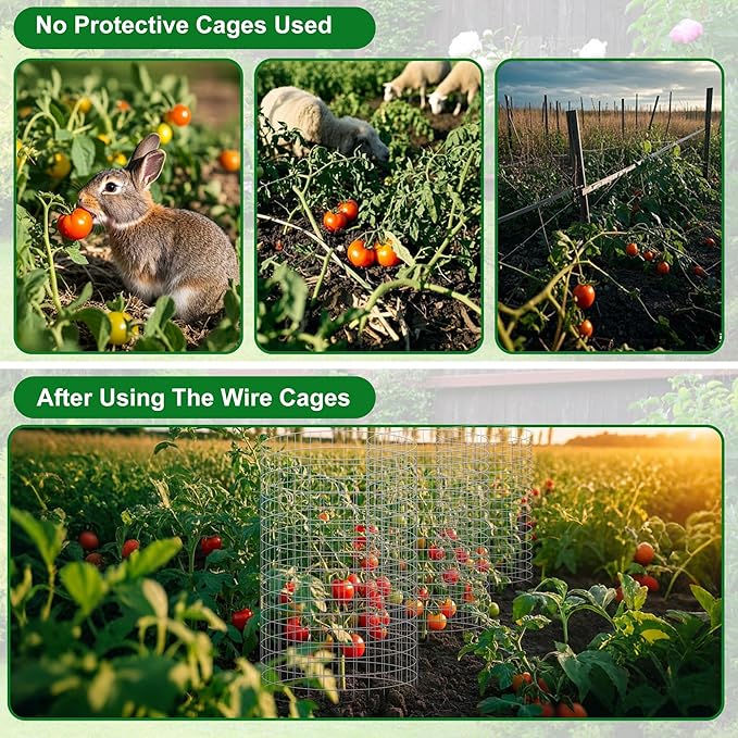Plant Protector Cages 12 Pack, Galvanized Steel, 12 x 24 in with Stakes