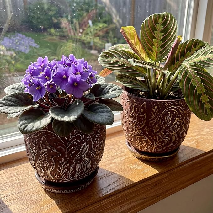 Decorative Ceramic Planter Pot with Saucer, Brown with Gold and Silver Owl Pattern, Indoor Garden Container with Drainage (G&S, 6 inch)