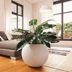Lechuza Puro Color 50 White, Self-Watering Large Round Planter, D19.7 H15.4 in