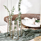 Planter Set of 3 Clear Glass Test Tube Vases with Antique Gold Metal Base