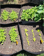 CJGQ Fabric Raised Garden Bed 4x2x1ft Garden Grow Bed Bags for Growing Herbs, Flowers and Vegetables 55 Gallon