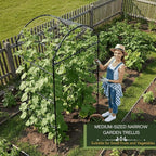 79" Garden Trellis Arch for Climbing Plants – Tall Outdoor Metal Trellis for Vegetables, Peas, Tomatoes,﻿ Cucumber Trellis Arch & Vertical Garden Climber Plant Support for Vine Plants
