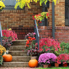24 Rose Red Bundles Artificial Flowers for Outdoors/Indoors Fake Flowers Plants for Indoor Outside Garden Porch Window Box Home Wedding Farmhouse