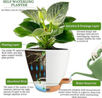 6 Inch Self Watering Pots for Indoor Plants (5-Pack) – Small Plastic Planters with Water Window, Drainage Holes & Trays, Indoor Outdoor Flower Pots for Herbs, Succulents, Home Garden Decor (White)