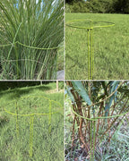 10-Pack Plant Support Stakes, Heavy Duty Steel Plant Stakes as Monstera Plant Support & Peony Cages, Metal Garden Stakes for Indoor Outdoor Plants, Snake Plant & Vine Support, 10" W x 15.8" H