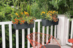 Lechuza BALCONERA Color 50 Slate, Self-Watering Window Box (Railing Planter), H7.5 L19.7 W7.5 in